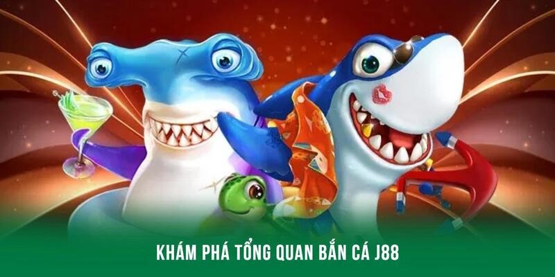 Khám phá tổng quan thế giới đại dương đỉnh cao