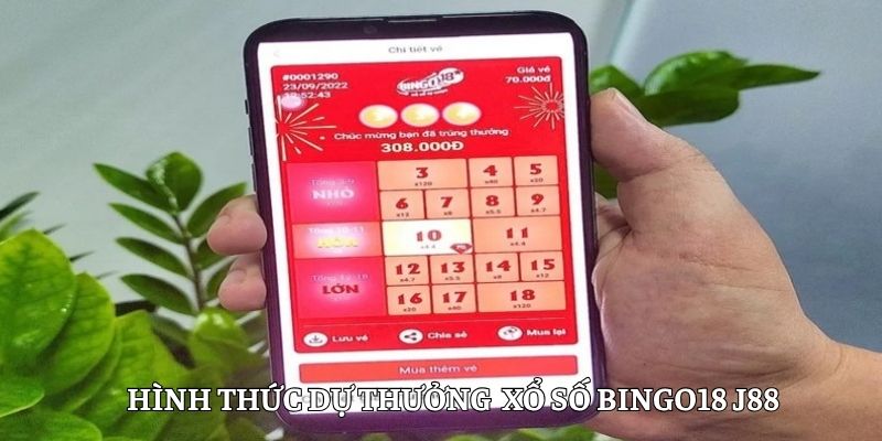 Nhiều cách dự đoán được áp dụng trong Bingo18