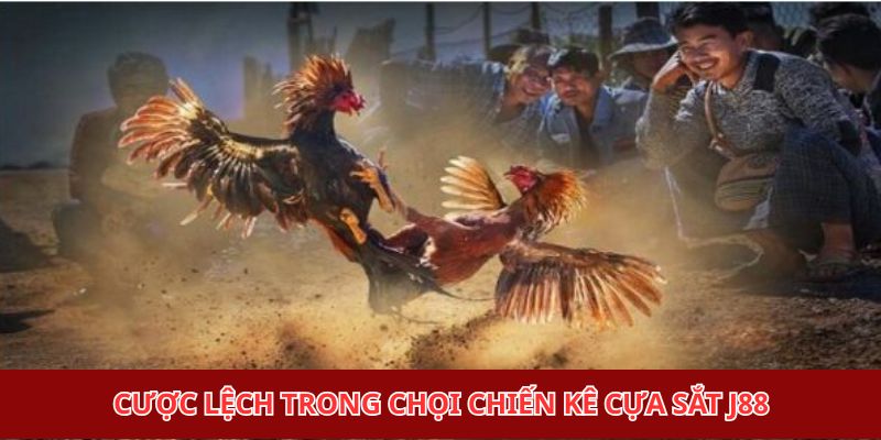 Cược lệch trong chọi chiến kê cựa sắt J88
