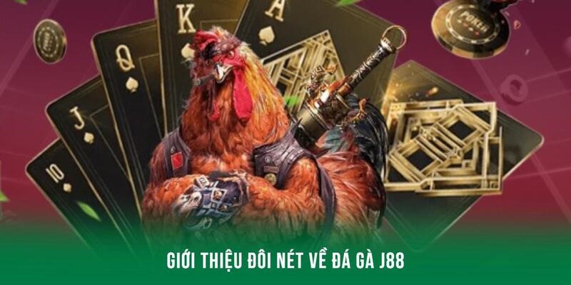 Đôi nét về sân chơi đá gà lý tưởng, đáng thủ nhất