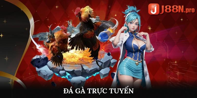 Đá gà trực tuyến kịch tính bậc nhất tại J88
