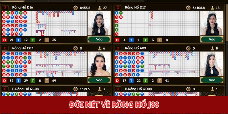 Đôi nét về rồng hổ J88