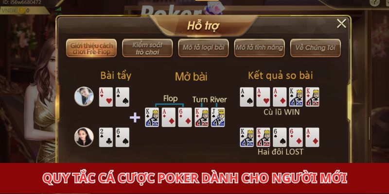 Quy tắc cá cược poker dành cho người mới
