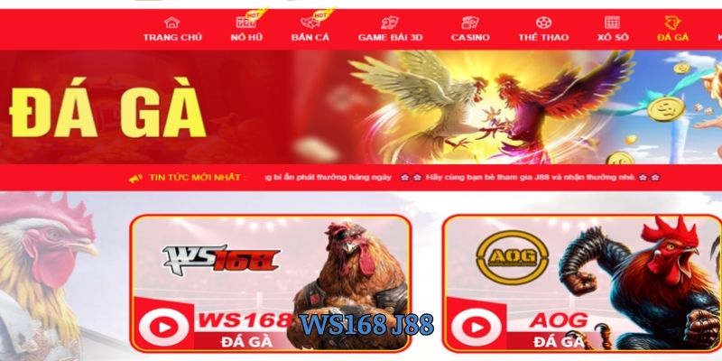 Ws168 J88